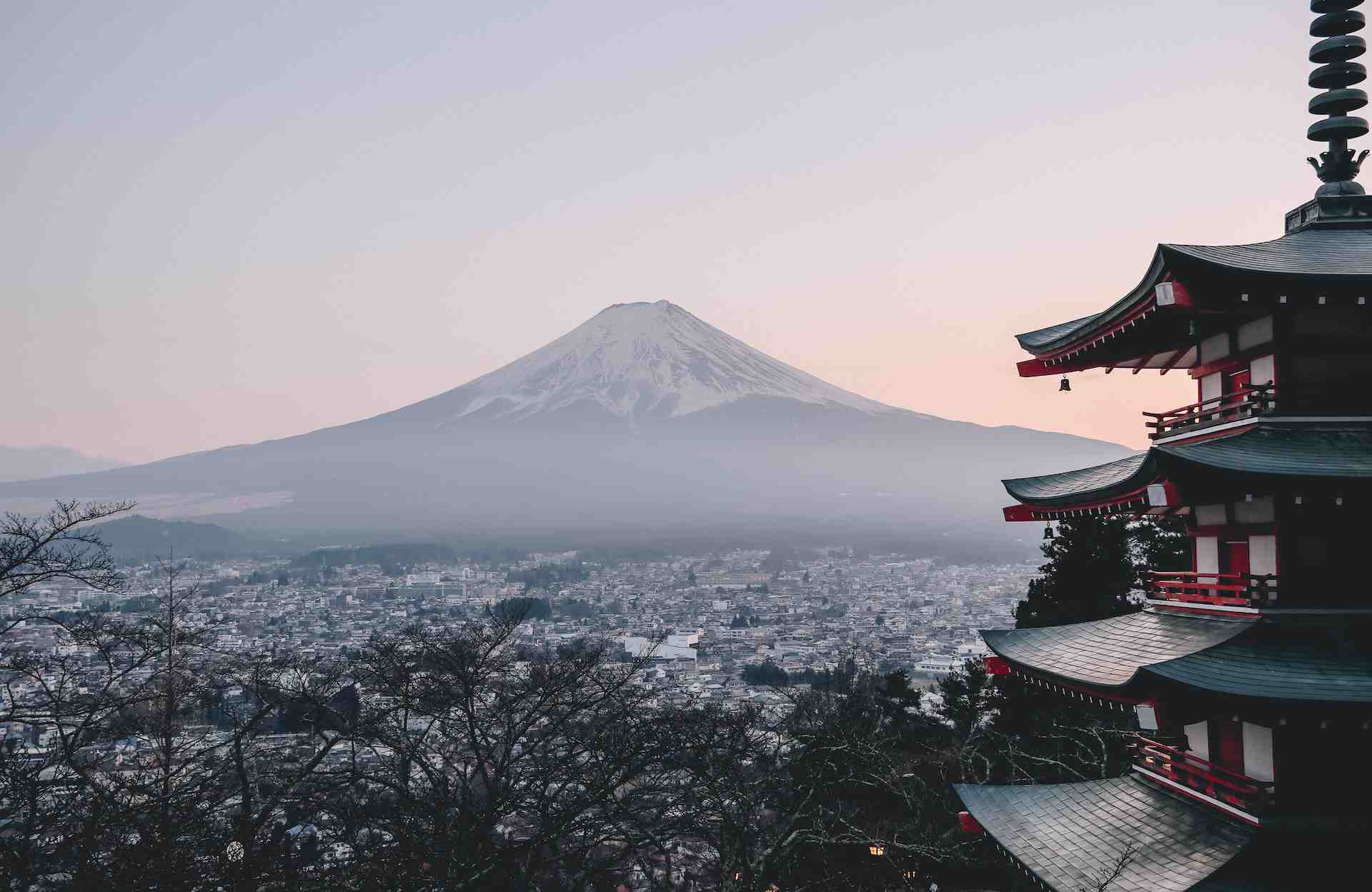 Study Abroad